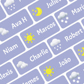 StacynKirill Personalized Name Labels for Kids Custom Stcikers Washable for Clothes and Gear Non Iron Waterproof for Kids Stuff Daycare Toddlers School Supplies Water Bottle Camp 0.5"X1.2" (Weather)Stacy & Kirill