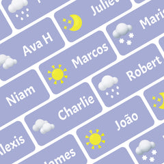 StacynKirill Personalized Name Labels for Kids Custom Stcikers Washable for Clothes and Gear Non Iron Waterproof for Kids Stuff Daycare Toddlers School Supplies Water Bottle Camp 0.5"X1.2" (Weather)Stacy & Kirill